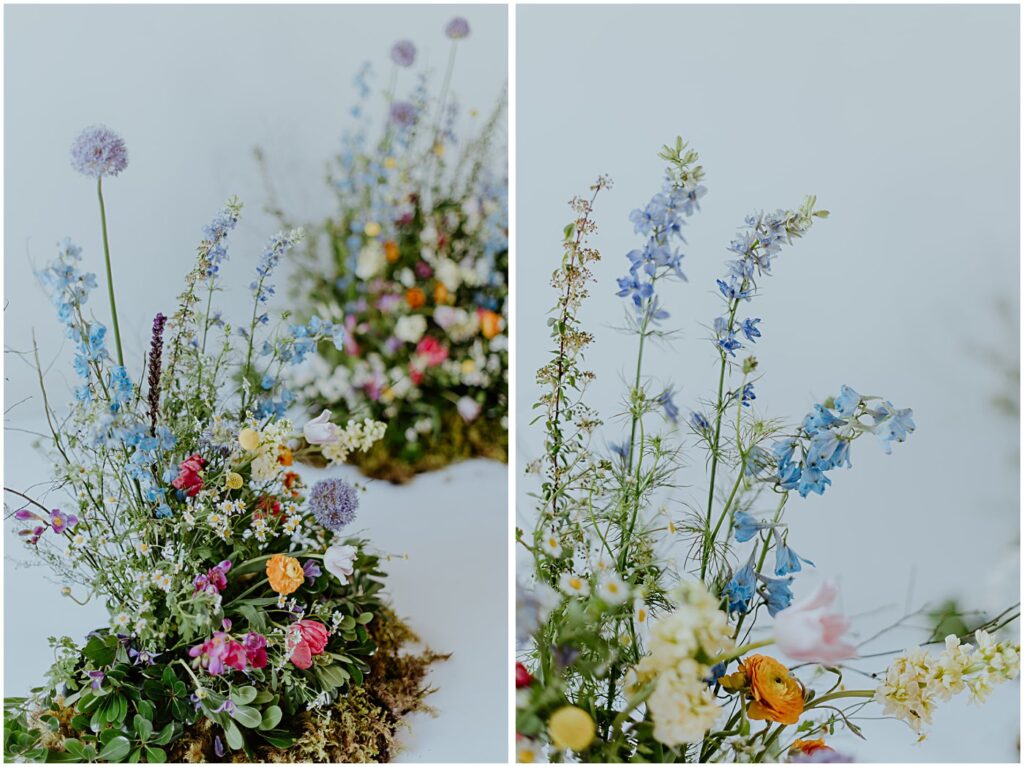 spring meadow florals, vibrant florals, wildflowers