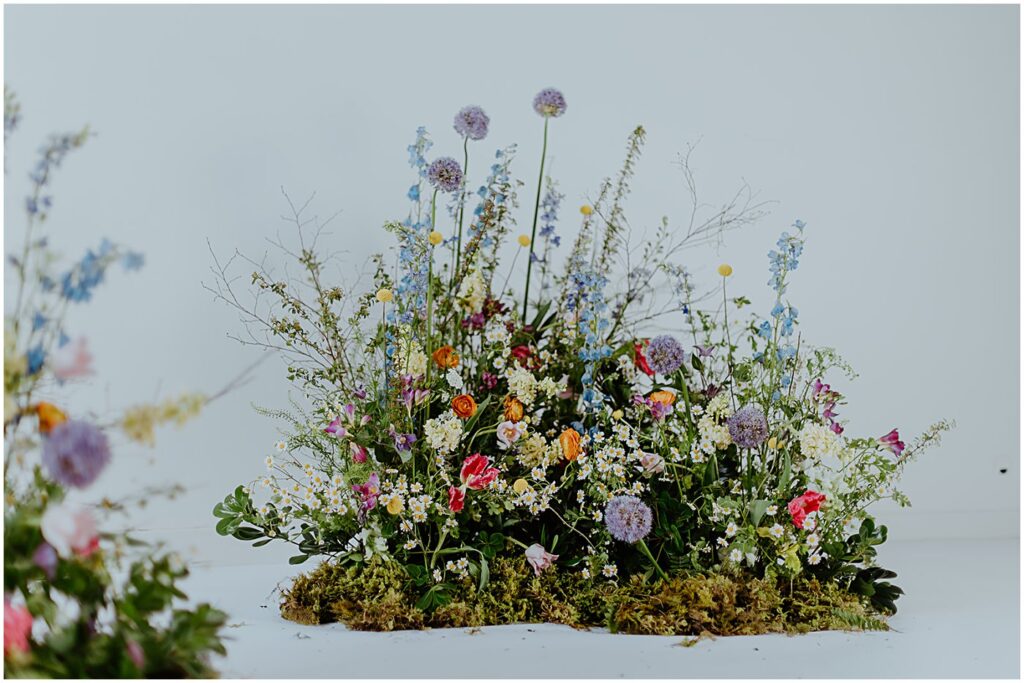 spring meadow florals, vibrant florals, wildflowers